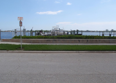 Florida Mangrove Planter