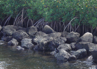 Lake Worth Lagoon