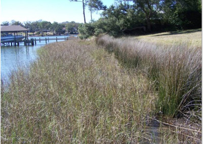 Ellmore Shoreline (Escambia County)