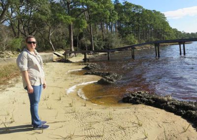 Bayou Grande breakwater accretion and immediately post plantings