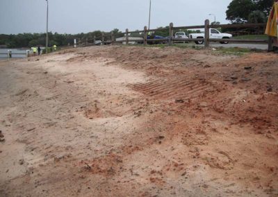 Bayview Park after Pharagmites removal by City