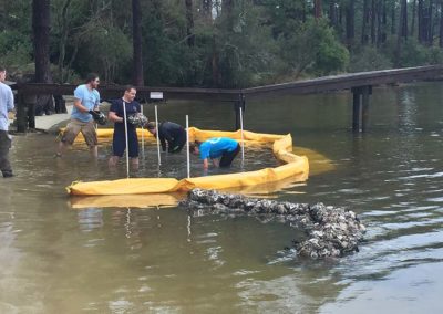 Oyster reefs being built at Bayou Grande