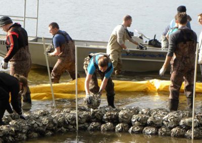 Reef build at Bayou Grande
