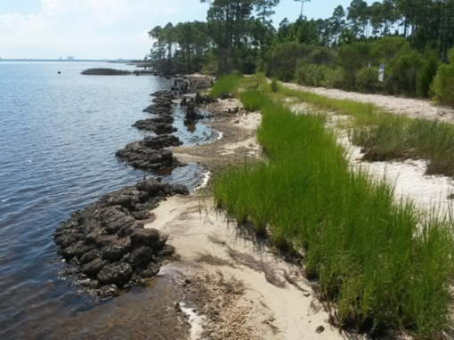RiverCamps on West Bay (Bay County)