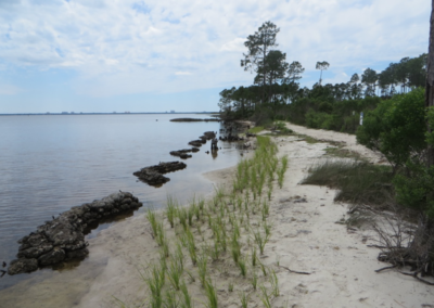 RiverCamps in May 2016 after restoration