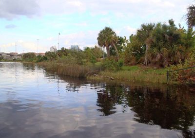 Steward Middle School (Hillsborough County)