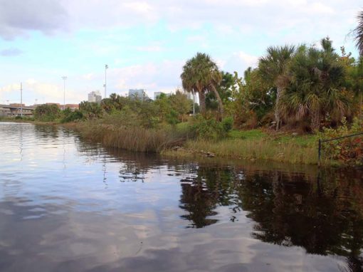 Steward Middle School (Hillsborough County)