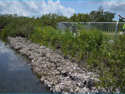 Seminole Rest Shoreline Stabilization (Volusia County)