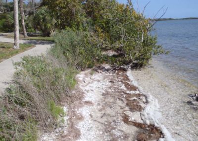 Seminole Rest Before Stabilization