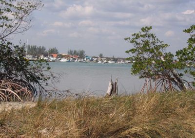 Restoration at Blowing Rocks Preserve. Photo: The Nature Conservancy