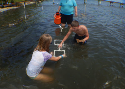 Seagrass planting at Driftwood