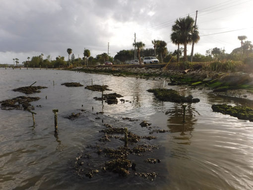 Driftwood Inn (Martin County)