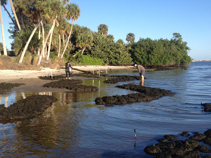 Indian Riverside Park (Martin County)