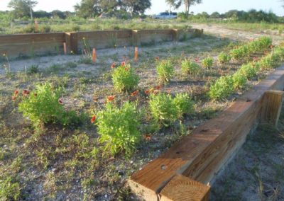 FWC Living Shoreline Demonstration Area (Volusia County)