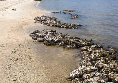River Cove (Martin County)