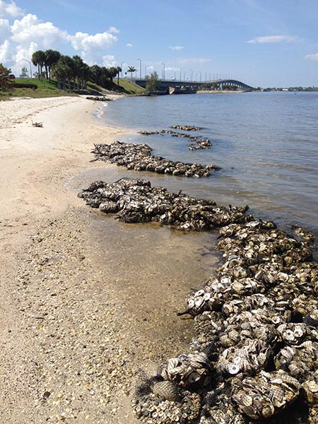 River Cove (Martin County)