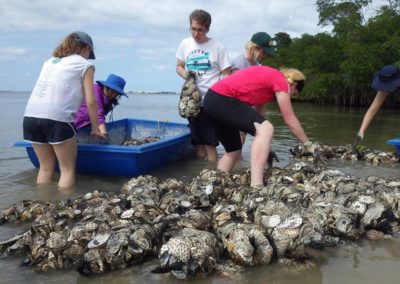 Placing oyster bags at river cove.