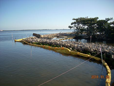 MC-2 Shoreline Stabilization (Martin County)