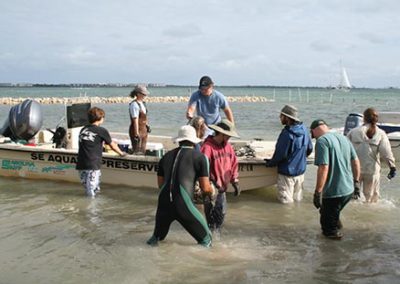 Oyster Bag Installation December 9, 2011