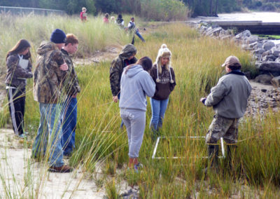 Indian Creek monitoring plant density after restoration