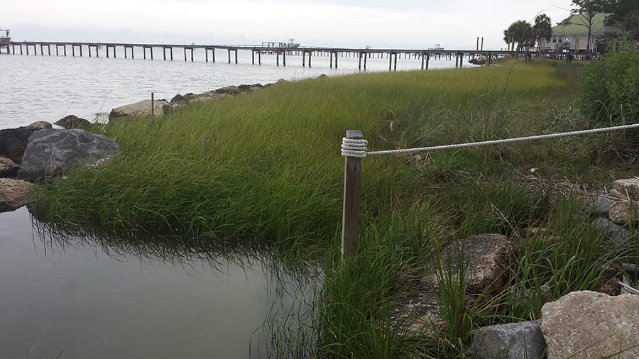 St George Island (Franklin County)