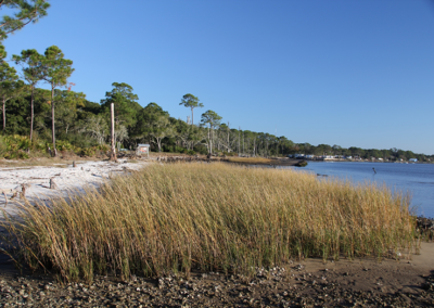 Millender Park, Apalachicola National Estuarine Research Reserve (Franklin County)