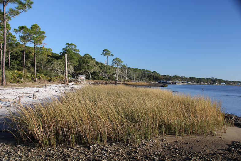 Millender Park, Apalachicola National Estuarine Research Reserve (Franklin County)