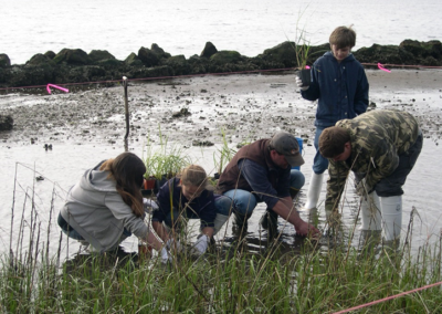 Millender Volunteers assist with planting