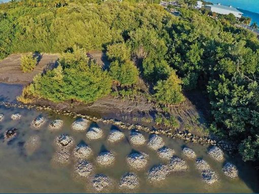 Punta Rassa Oyster Restoration (Lee County)