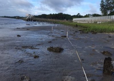 Before Oyster Reef Installation