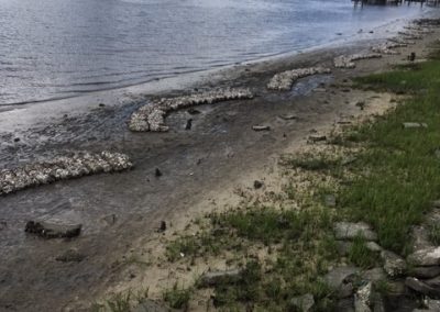 Oyster Bag Wavebreaks