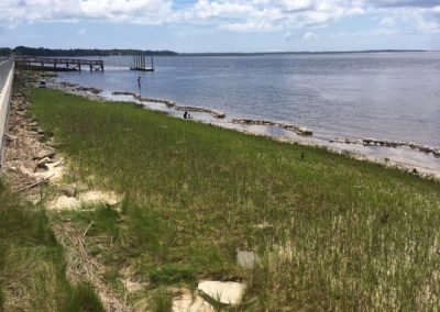 Oyster Wavebreaks and Spartina alterniflora