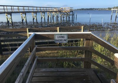 Joe Rains Low Marsh Plantings Oyster Sill 6 months after