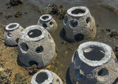 NCBS seawall - reef balls day 0