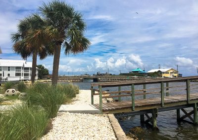 Native Plants with Shoreline Buffer - NCBS seawall