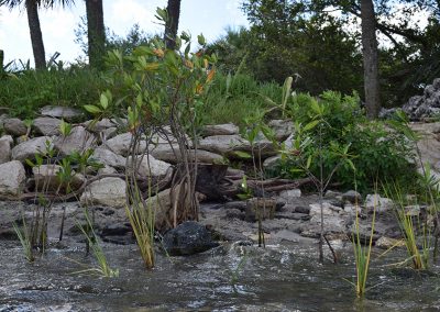 Living Shoreline Demonstration Site (Brevard County)