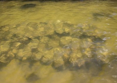 Laid oyster bags at Geiger Point