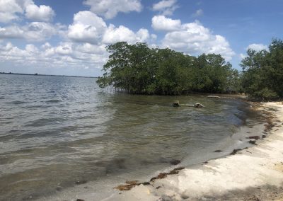 EEL Living Shoreline (Brevard County)