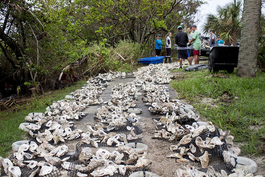Geiger Point (Brevard County)