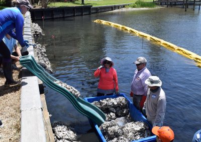 Transporting oyster bags at Douglas Park for the revetments and breakwaters